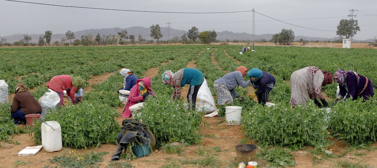 Photo: Marcel Crozet / ILO.